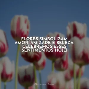 Flores simbolizam amor, amizade e beleza. Celebremos esses sentimentos hoje!
