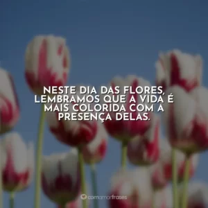Neste Dia das Flores, lembramos que a vida é mais colorida com a presença delas.
