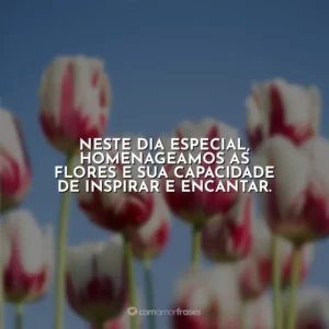 Neste dia especial, homenageamos as flores e sua capacidade de inspirar e encantar.