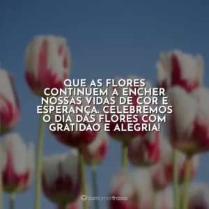 Que as flores continuem a encher nossas vidas de cor e esperança. Celebremos o Dia das Flores com gratidão e alegria!