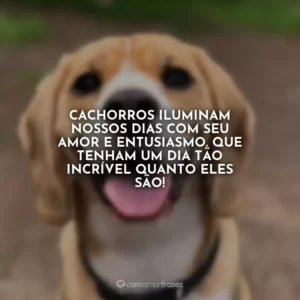 Cachorros iluminam nossos dias com seu amor e entusiasmo. Que tenham um dia tão incrível quanto eles são!