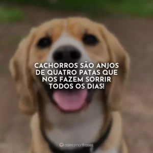 Cachorros são anjos de quatro patas que nos fazem sorrir todos os dias!