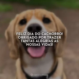 Feliz Dia do Cachorro! Obrigado por trazer tantas alegrias às nossas vidas!