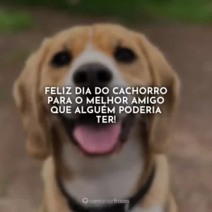 Feliz Dia do Cachorro para o melhor amigo que alguém poderia ter!