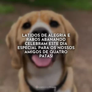 Latidos de alegria e rabos abanando celebram este dia especial para os nossos amigos de quatro patas!