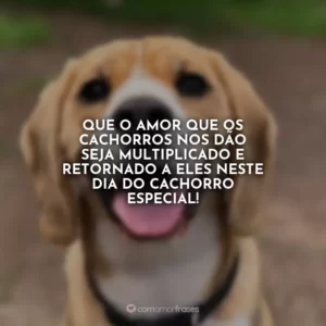 Que o amor que os cachorros nos dão seja multiplicado e retornado a eles neste Dia do Cachorro especial!