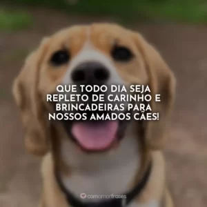 Que todo dia seja repleto de carinho e brincadeiras para nossos amados cães!