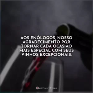 Aos enólogos, nosso agradecimento por tornar cada ocasião mais especial com seus vinhos excepcionais.