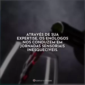 Através de sua expertise, os enólogos nos conduzem em jornadas sensoriais inesquecíveis.