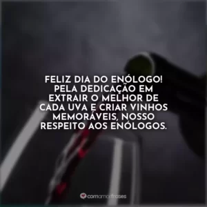 Feliz Dia do Enólogo! Pela dedicação em extrair o melhor de cada uva e criar vinhos memoráveis, nosso respeito aos enólogos.