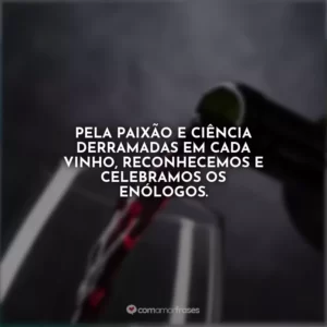 Pela paixão e ciência derramadas em cada vinho, reconhecemos e celebramos os enólogos.
