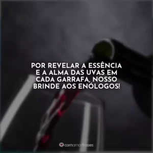 Por revelar a essência e a alma das uvas em cada garrafa, nosso brinde aos enólogos!