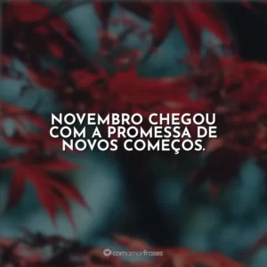Novembro chegou com a promessa de novos começos.