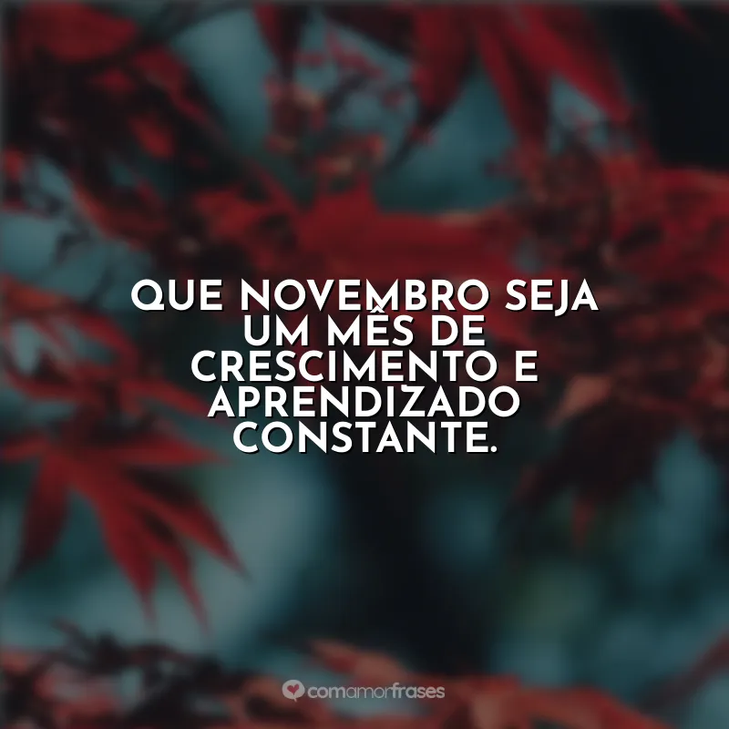 Frases Novembro Bem Vindo: Que novembro seja um mês de crescimento e aprendizado constante.