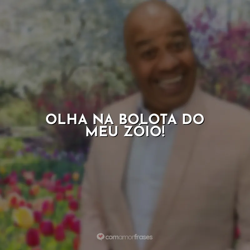 Frases Toninho Tornado: Olha na bolota do meu zóio!