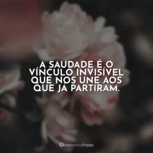 A saudade é o vínculo invisível que nos une aos que já partiram.