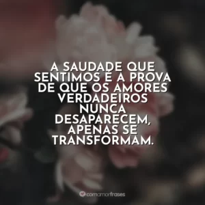 A saudade que sentimos é a prova de que os amores verdadeiros nunca desaparecem, apenas se transformam.