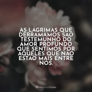 As lágrimas que derramamos são testemunho do amor profundo que sentimos por aqueles que não estão mais entre nós.