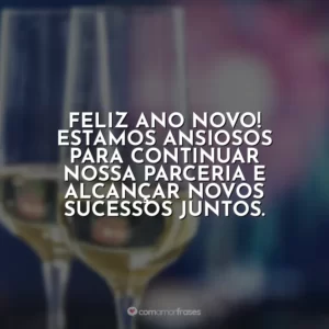 Feliz Ano Novo! Estamos ansiosos para continuar nossa parceria e alcançar novos sucessos juntos.