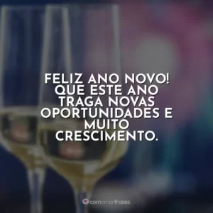 Feliz Ano Novo! Que este ano traga novas oportunidades e muito crescimento.