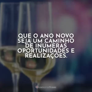 Que o Ano Novo seja um caminho de inúmeras oportunidades e realizações.