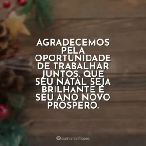 Agradecemos pela oportunidade de trabalhar juntos. Que seu Natal seja brilhante e seu Ano Novo próspero.