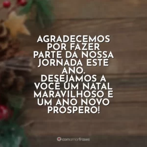 Agradecemos por fazer parte da nossa jornada este ano. Desejamos a você um Natal maravilhoso e um Ano Novo próspero!