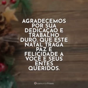Agradecemos por sua dedicação e trabalho duro. Que este Natal traga paz e felicidade a você e seus entes queridos.