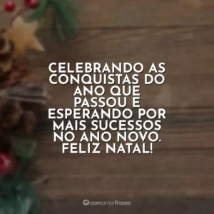 Celebrando as conquistas do ano que passou e esperando por mais sucessos no Ano Novo. Feliz Natal!