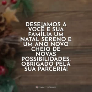Desejamos a você e sua família um Natal sereno e um Ano Novo cheio de novas possibilidades. Obrigado pela sua parceria!