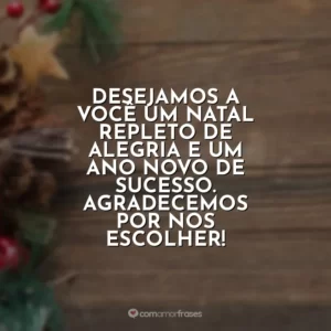 Desejamos a você um Natal repleto de alegria e um Ano Novo próspero. Agradecemos sua parceria e confiança!