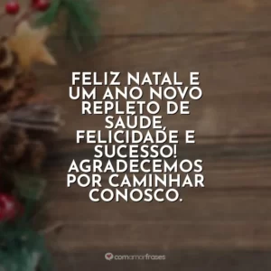 Feliz Natal e um Ano Novo repleto de saúde, felicidade e sucesso! Agradecemos por caminhar conosco.