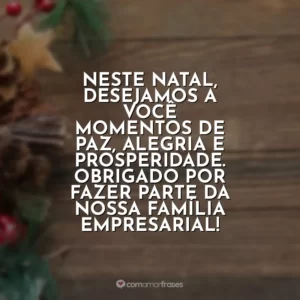 Neste Natal, desejamos a você momentos de paz, alegria e prosperidade. Obrigado por fazer parte da nossa família empresarial!