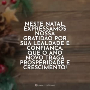 Neste Natal, expressamos nossa gratidão por sua lealdade e confiança. Que o Ano Novo traga prosperidade e crescimento!