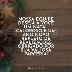 Nossa equipe deseja a você um Natal caloroso e um Ano Novo repleto de realizações. Obrigado por sua valiosa parceria!