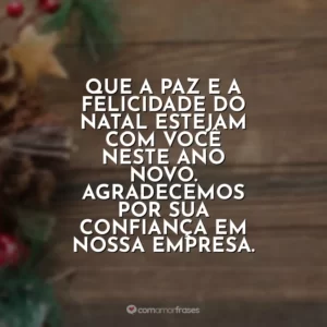 Que a paz e a felicidade do Natal estejam com você neste Ano Novo. Agradecemos por sua confiança em nossa empresa.