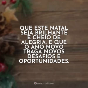 Que este Natal seja brilhante e cheio de alegria, e que o Ano Novo traga novos desafios e oportunidades.