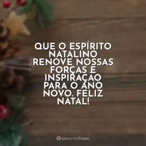 Que o espírito natalino renove nossas forças e inspiração para o Ano Novo. Feliz Natal!