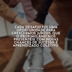 Cada desafio foi uma oportunidade para crescermos juntos. Que o próximo ano nos presenteie com novas chances de sucesso e aprendizado coletivo.