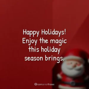 Happy Holidays! Enjoy the magic this holiday season brings.