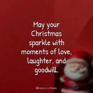 May your Christmas sparkle with moments of love, laughter, and goodwill.