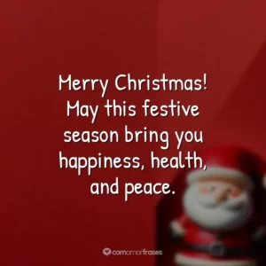 Merry Christmas! May this festive season bring you happiness, health, and peace.
