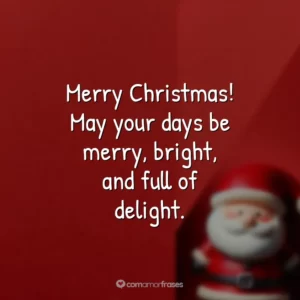 Merry Christmas! May your days be merry, bright, and full of delight.