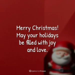 Merry Christmas! May your holidays be filled with joy and love.