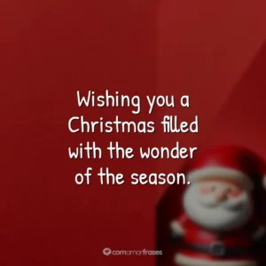 Wishing you a Christmas filled with the wonder of the season.