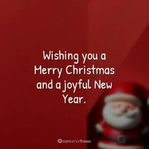 Wishing you a Merry Christmas and a joyful New Year.
