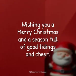 Wishing you a Merry Christmas and a season full of good tidings and cheer.