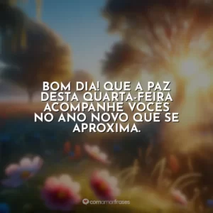 Bom dia! Que a paz desta quarta-feira acompanhe vocês no ano novo que se aproxima.