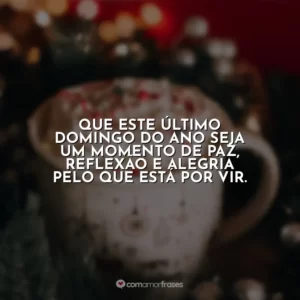 Que este último domingo do ano seja um momento de paz, reflexão e alegria pelo que está por vir.