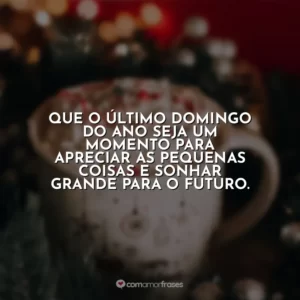 Que o último domingo do ano seja um momento para apreciar as pequenas coisas e sonhar grande para o futuro.